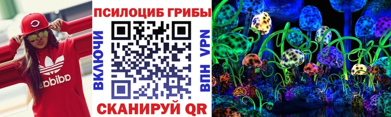 Галлюциногенные грибы прущие грибы Астрахань